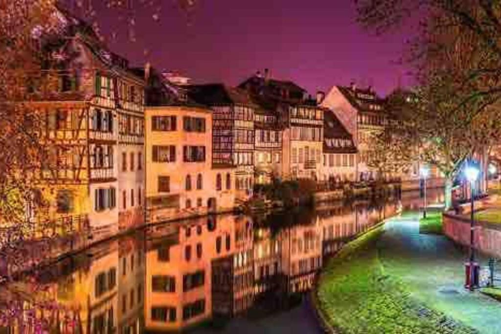 Studio Strasbourg Centre المظهر الخارجي الصورة